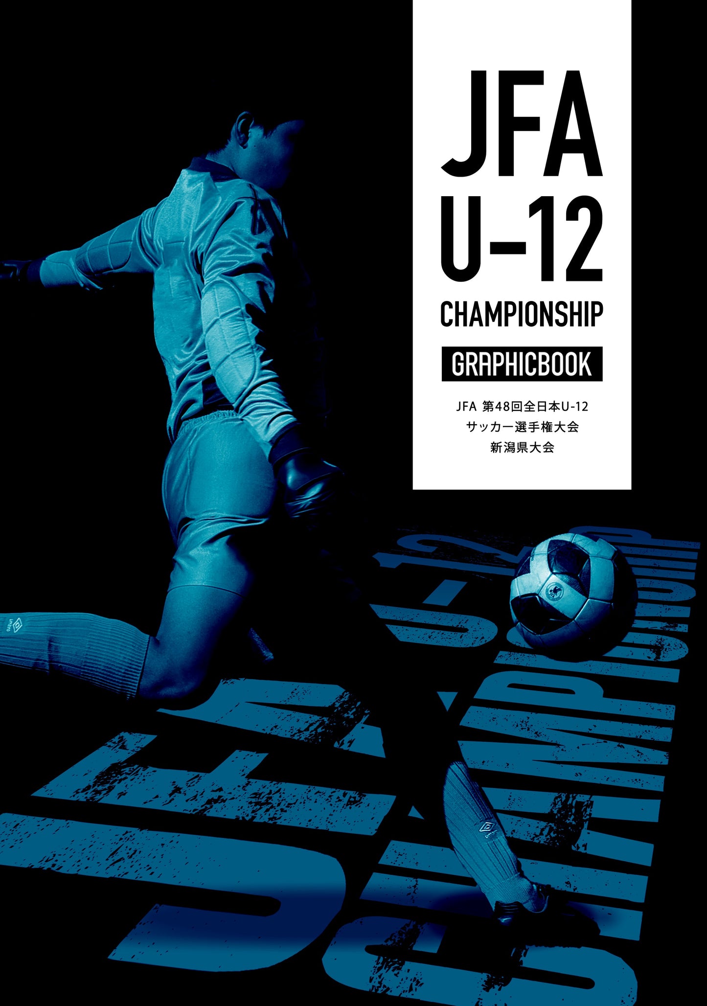 【2】JFA 第48回全日本U-12サッカー選手権大会 新潟県大会(E1551784)