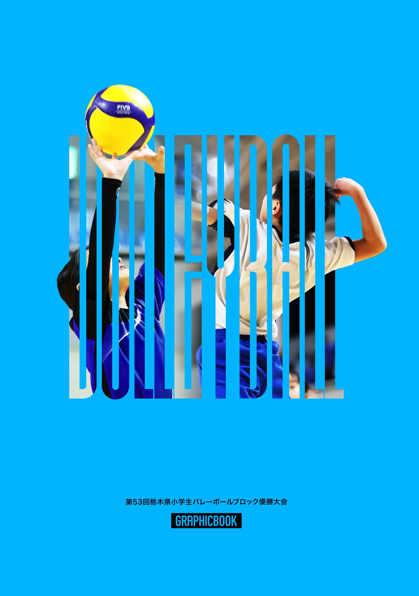 第53回栃木県小学生バレーボールブロック優勝大会（E1724715）