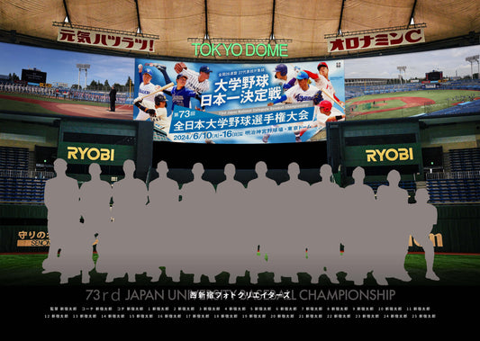 【グラフィックパネル】第73回全日本大学野球選手権大会（E1498140）